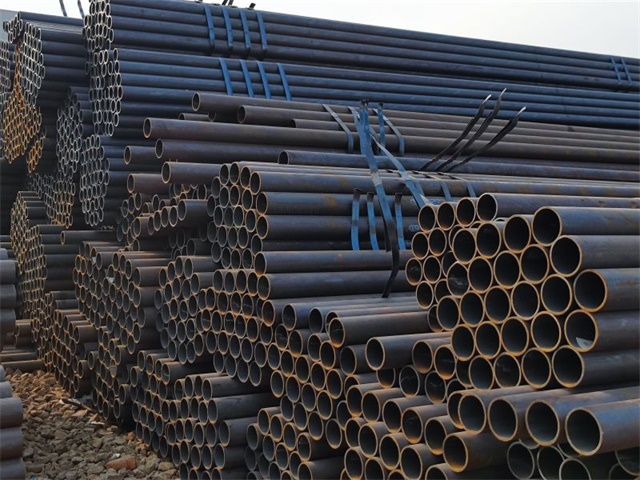 IMG_20230401_161932.jpg IMG_20230401_161932.jpg